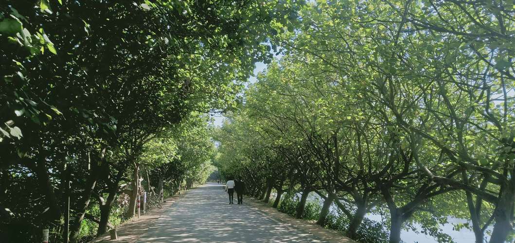 2025珠海淇澳岛红树林湿地游玩全攻略